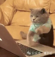 什么Excel这函数那公式，我千问永远一步搞定