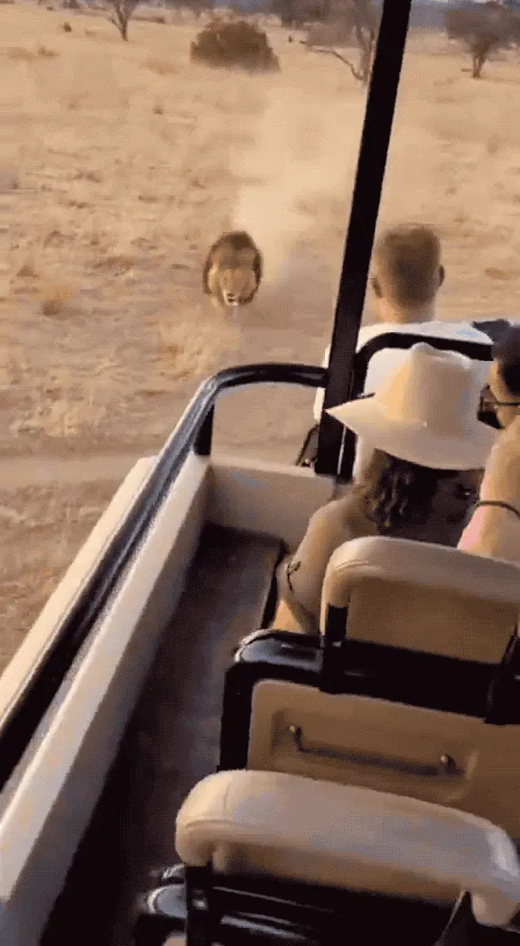 Claude Opus 4.6性能骤降？用户实测思考深度下降67%，幻觉问题加剧