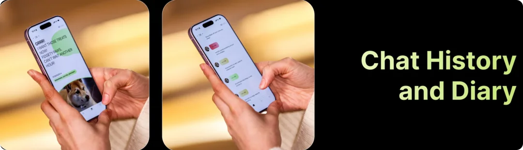戴上 800 块的 AI 项圈，就能听懂喵星人的话？