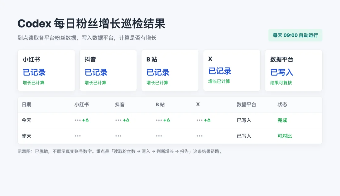 Codex 自动化：一键抓取多平台数据，粉丝增长报告自动生成