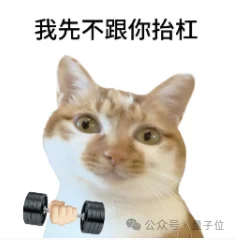 DeepSeek开招土木老哥：自建GW级数据中心