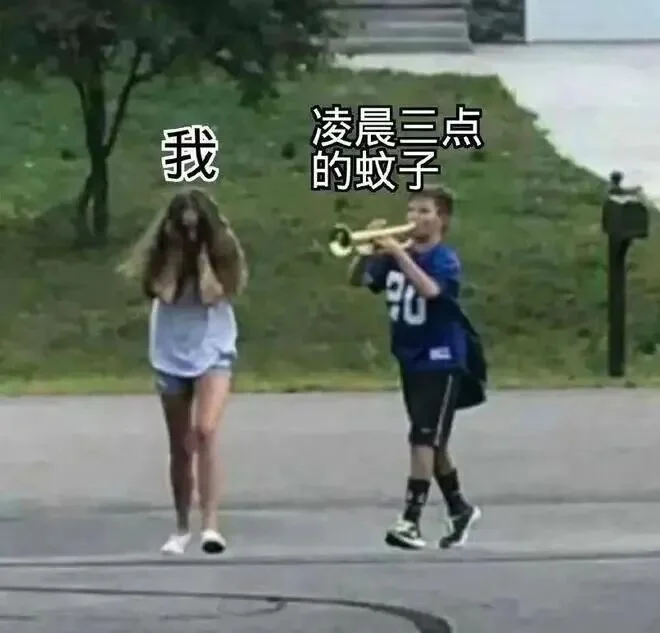 招蚊体质必看：这款AI灭蚊神器让我彻底告别深夜嗡嗡声