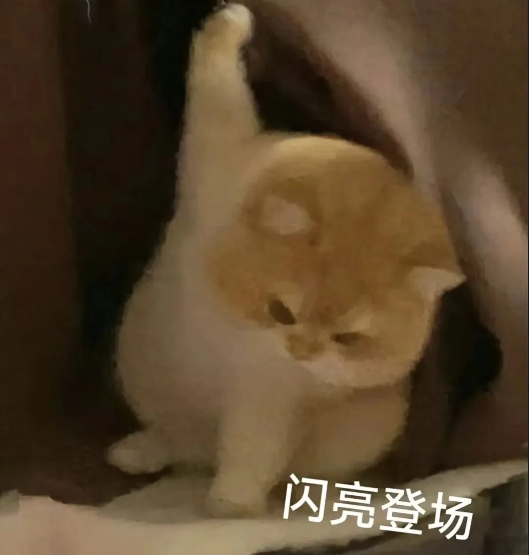 小红书大模型IMO满分夺金，第三题解法让冠军选手直呼优雅