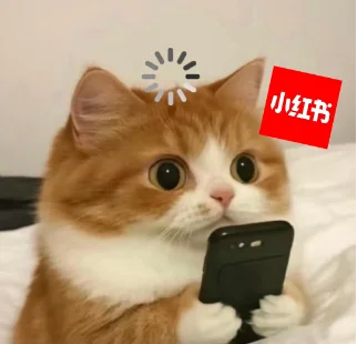 小红书大模型IMO满分夺金，第三题解法惊艳全球冠军选手