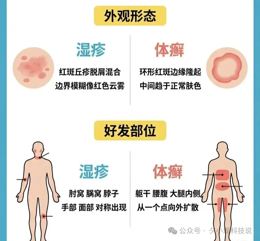 美国牧师起诉 OpenAI：称 ChatGPT 的健康建议，差点要了他的命