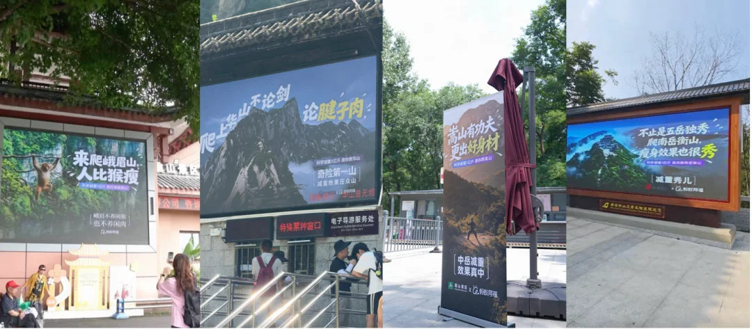 让AI先吃，这个国民级健康难题有解了