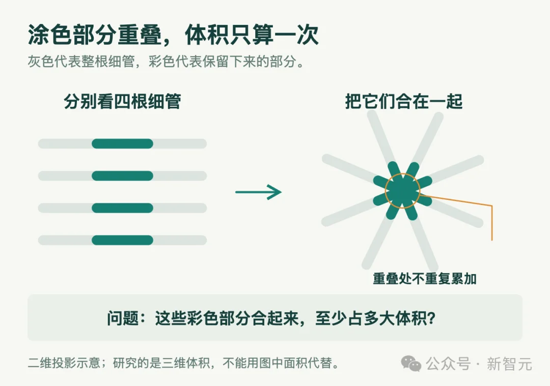 王虹攻下的三维挂谷猜想，OpenAI放出175页四维证明稿！